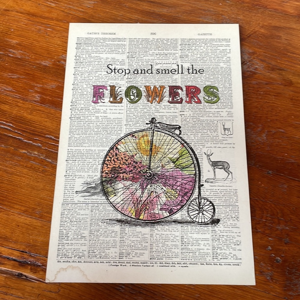 🚲 Vintage Dictionary Art, Penny Farthing Stop and Smell